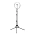 Лампа Ring GLOW 13" bsc - 10W 